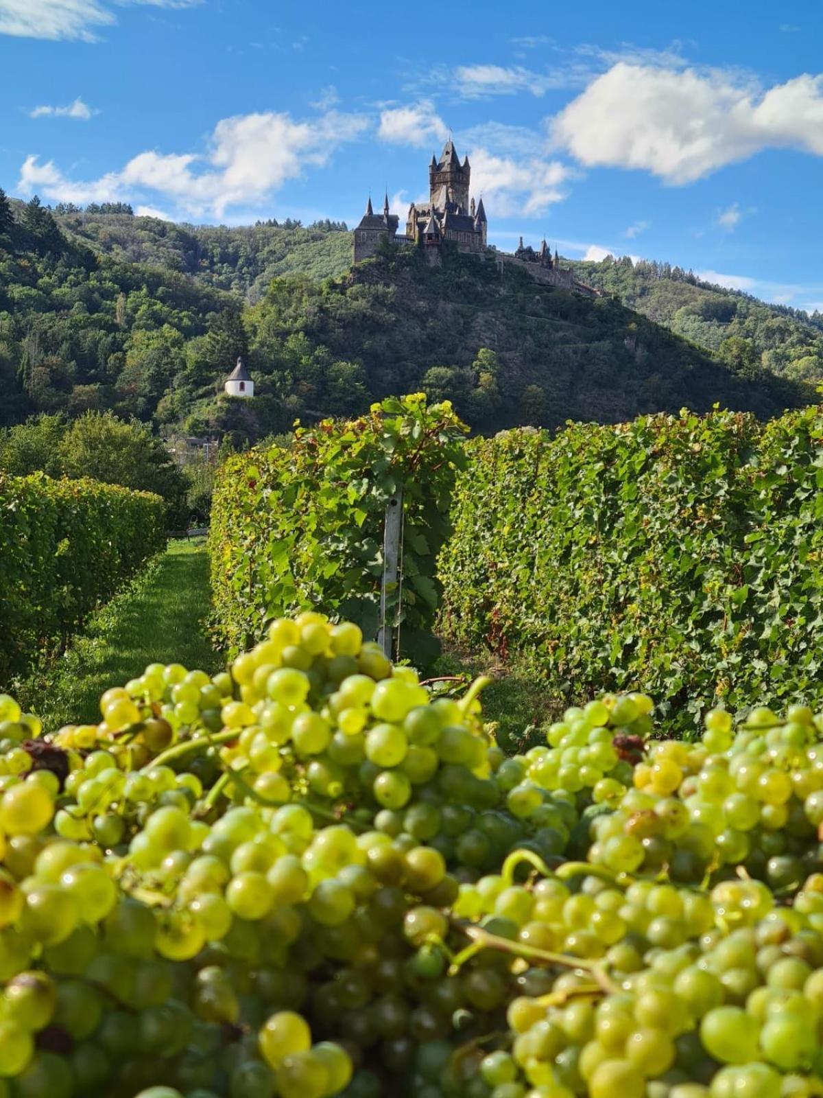 Weingut Gaestehaus Bach Cochem Exterior foto